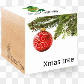 Packaging For Christmas Tree, HD Png Download - green christmas ornament png