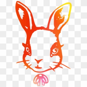 Hare Domestic Illustration Rabbit Easter Bunny Clipart - Illustration, HD Png Download - bunny clipart png