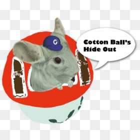 Cotton Ball"s Hideout - Student, HD Png Download - cotton ball png