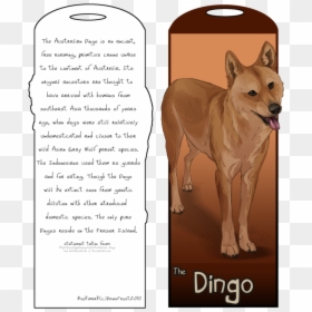 Dog Licks, HD Png Download - dingo png