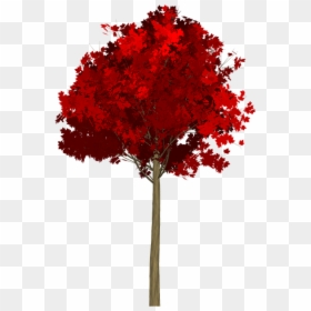 Maple, Tree, Painted Tree, Red, Nature, Image Painting - Tree Red Png, Transparent Png - red tree png