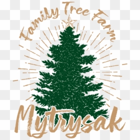 Mytrysak Family Tree Farm Logo - Family Tree, HD Png Download - green christmas ornament png