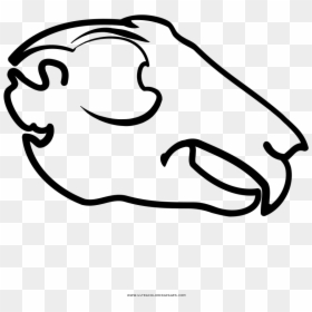 Animal Skull Coloring Page - Clip Art Animal Skull, HD Png Download - skull border png