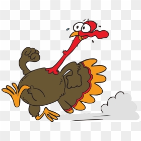 Transparent Funny Turkey Png - Turkey Running, Png Download - thanksgiving turkey clipart png