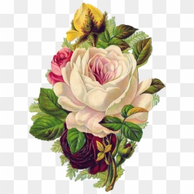 Rose Flower Paper The Babys Bouquet - Painted Flower Old Png, Transparent Png - flower vintage png