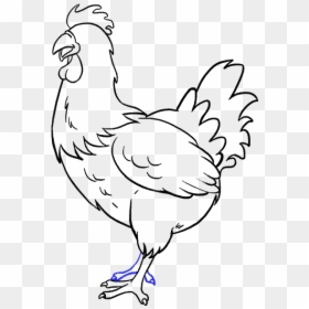 How To Draw Chicken - Chicken Drawing Easy, HD Png Download - chicken head png