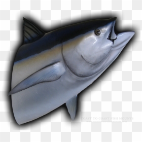 Tuna Head Mouth Open, HD Png Download - fish head png