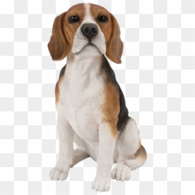 Dog Sitting Png Clipart - Beagle Dog Sitting, Transparent Png - doge png transparent