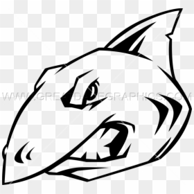 Dva Drawing Shark Head - Shark Head Clip Art, HD Png Download - fish head png