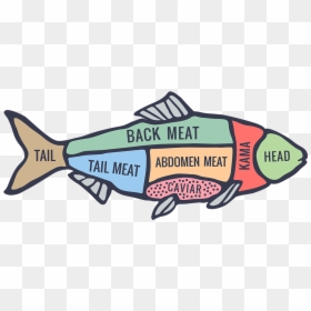 Fish Cuts Of Meat, HD Png Download - fish head png