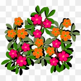 Plant,flower,shrub - Portulaca Grandiflora Clip Art, HD Png Download - flowering shrub png