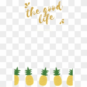 Transparent Pineapples Png - Pineapple, Png Download - pineapples png