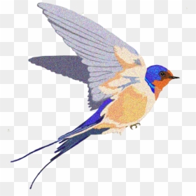 Download Barn Swallow Background Png - Barn Swallow Clipart, Transparent Png - barn silhouette png