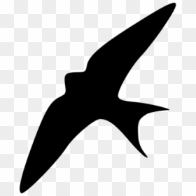 Photography - Barn Swallow Silhouette, HD Png Download - barn silhouette png