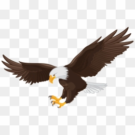 Transparent American Eagle Png - Eagle Clipart Png, Png Download - soaring eagle png