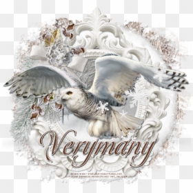 Transparent White Owl Png - Snowy Owl, Png Download - white owl png