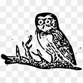 File Cherokeeprimer Owl Png Black And White Owl Svg, Transparent Png - white owl png