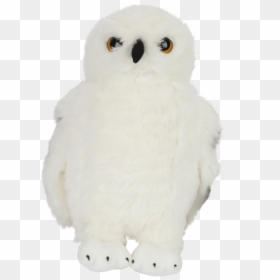 Snowy Owl, HD Png Download - white owl png
