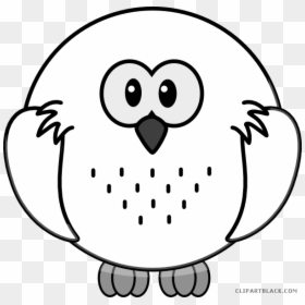 Snowy Owl Animal Free Black White Clipart Images Clipartblack, HD Png Download - white owl png