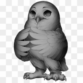 Furvilla Snowy Owl Base - Barn Owl Base, HD Png Download - white owl png