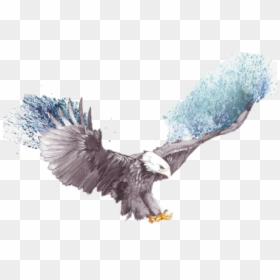 Flying Eagle Eagle Sketch , Png Download - Abstract Bald Eagle Painting, Transparent Png - soaring eagle png