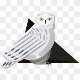 Snowy Owl, HD Png Download - white owl png