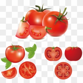 Hamburger Caprese Salad Clip Art Fresh Tomatoes, HD Png Download - bob the tomato png