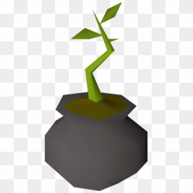 Osrs Bagged Plants, HD Png Download - hedges png