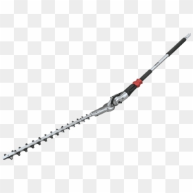 En401mp, HD Png Download - hedges png