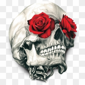 Skull Calavera T-shirt Human Rose Symbolism Clipart - Skull And Rose Stickers, HD Png Download - human skull png