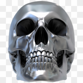 Skull Human Skeleton Drawing - 3d Skull Png, Transparent Png - human skull png