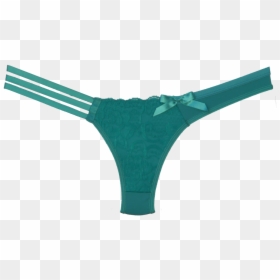 P1100339 Front2d - Underwear Transparent Png, Png Download - panty png