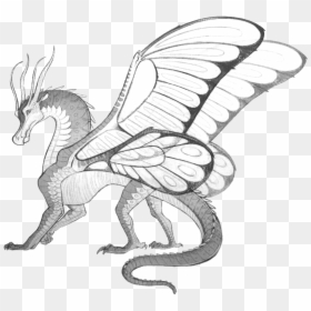Wings Drawing Fire - Wings Of Fire Dragon Silkwing, HD Png Download - cartoon wings png