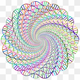 Line,circle,nucleic Acid Double Helix - Dna Rainbow, HD Png Download - double circle png