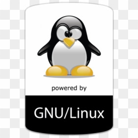 Penguin Design, HD Png Download - linux penguin png
