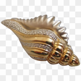Conch Png Image Background - Conch Shell Gold Png, Transparent Png - conch shell png