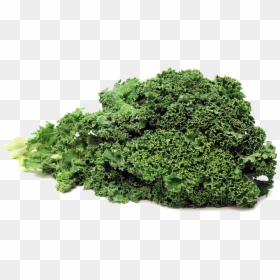 Kale Png Photos - Kale Png, Transparent Png - vegetable plant png