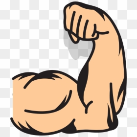 Clip Art Arms Clip Art Strong - Muscle Clipart, HD Png Download - arm emoji png