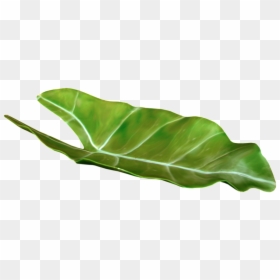 Tropical Leaf Png - Portable Network Graphics, Transparent Png - vegetable plant png