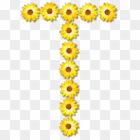 Sunflower Seed,plant,flower - Sunflowers Letter Y Png, Transparent Png - yellow daisy png