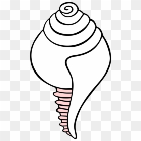 Shell Clipart Conch - Conch Shell Clip Art, HD Png Download - conch shell png