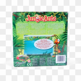 Ant Farm Jungle Ants, HD Png Download - water plants png