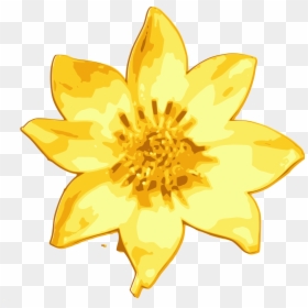 Meskel Daisy Clip Arts - Ethiopian New Year Flower Vector, HD Png Download - yellow daisy png