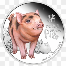 2019 Lunar Baby Pig 1/2oz Silver Proof Coloured Coin - Year Of The Pig Coin, HD Png Download - pig emoji png