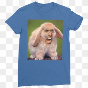 Nicolas Cage"s Face On A Rabbit ﻿classic Women"s T-shirt"  - Nicolas Cage As Animals, HD Png Download - nick cage face png