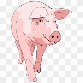 File Pig Clipart Svg Wikimediamons - Pig Clipart, HD Png Download - pig emoji png
