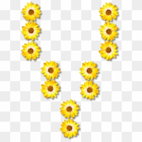 Sunflower Seed,plant,flower - Sunflower Letters Png, Transparent Png - yellow daisy png