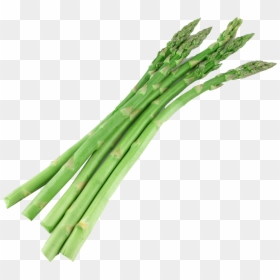 Vegetable Cutter Png Transparent Image - Asparagus Clipart, Png Download - vegetable plant png