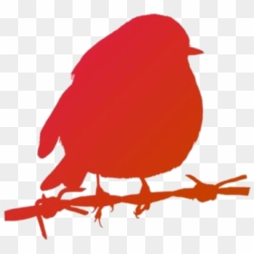 Robin Bird Png Free Clipart - Robin, Transparent Png - robin bird png