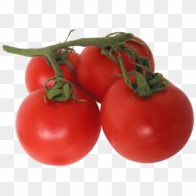 Small Tomato Plant Png, Transparent Png - vegetable plant png
